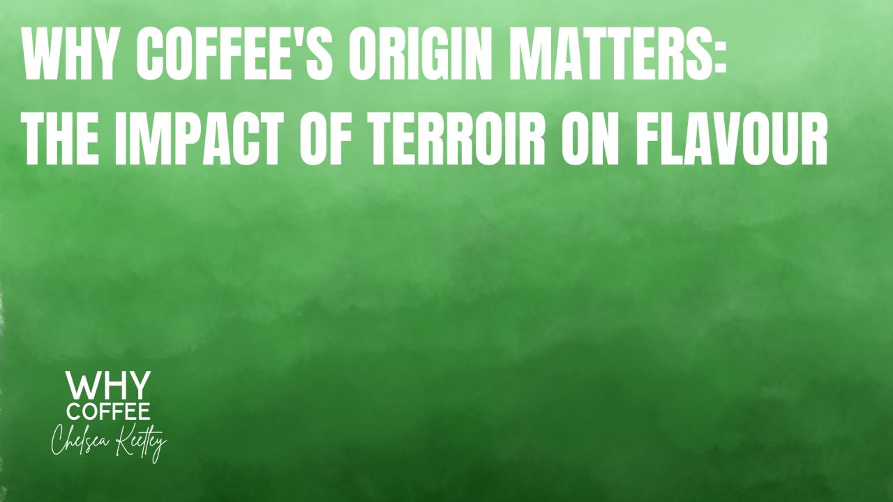WHY Coffee's Origin Matters: The Impact of Terroir on Flavour